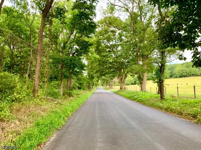 a view of a road with a yard