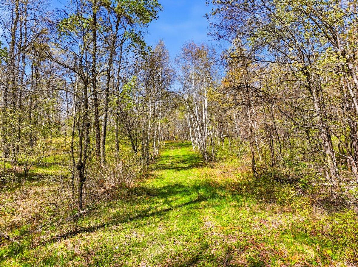 W6474 River Road Trego, WI 54888 - Photo 8 of 19
