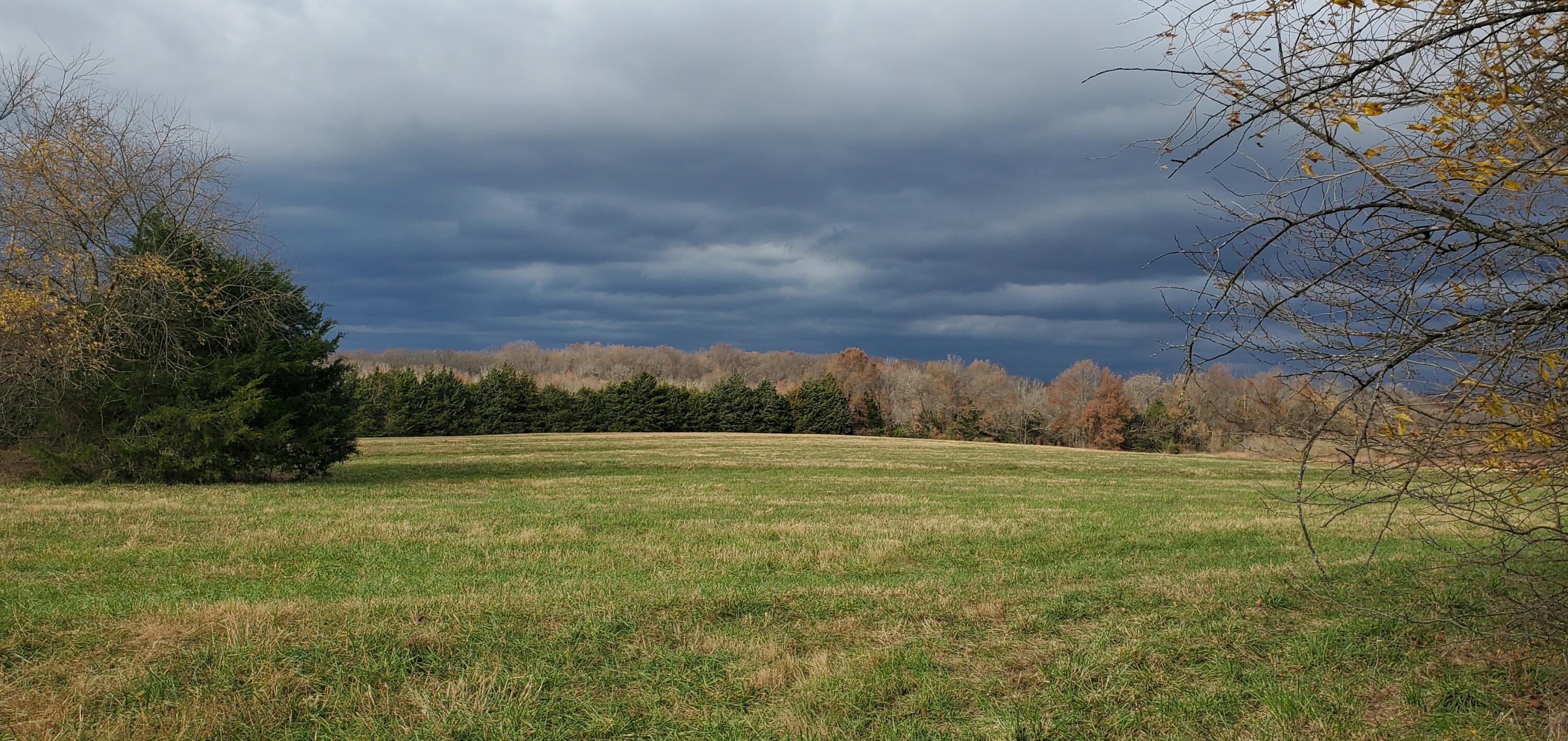 4775 South 50th Road Aldrich, MO 65601 - Photo 63 of 306 20211117_102302