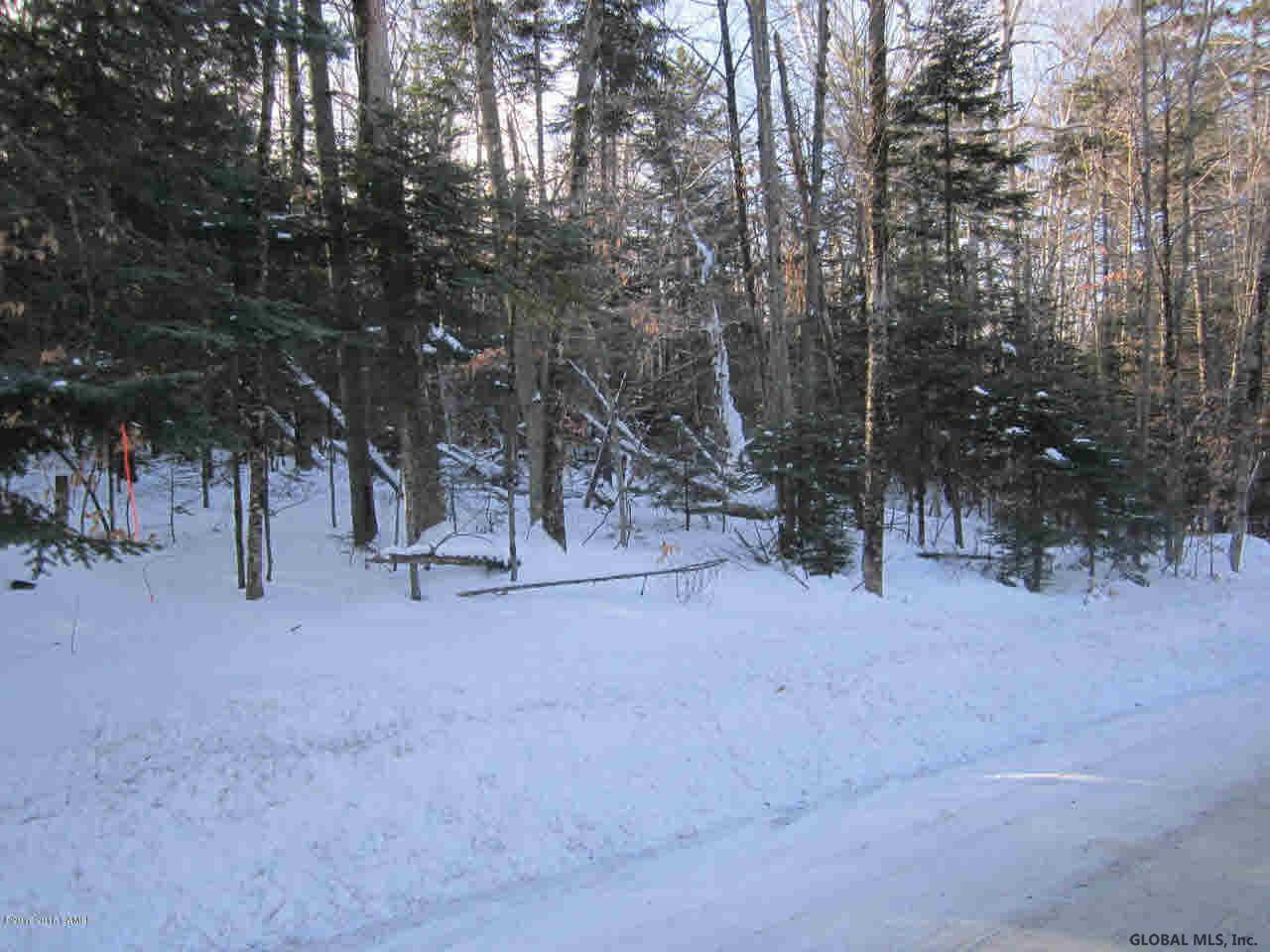 72 Harvey Road North River, NY 12856 - Photo 1 of 4 Photo 1