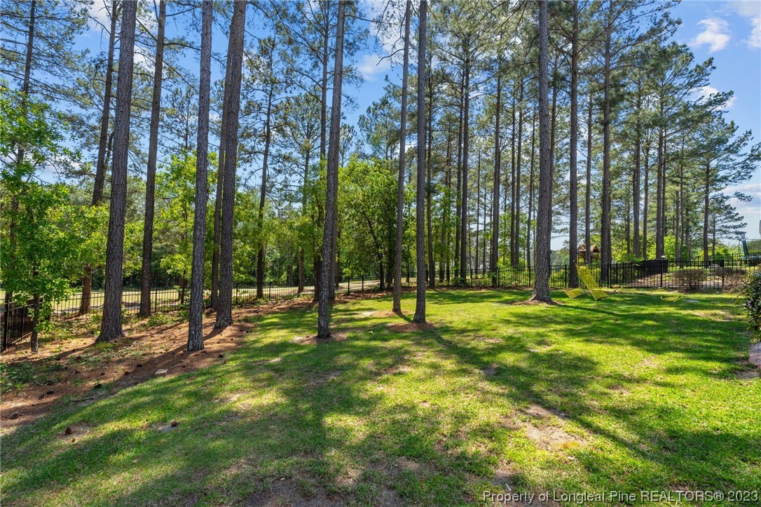 1069 Micah's Way Spring Lake North Spring Lake, NC 28390 - Photo 8 of 44 Gallery Image 8