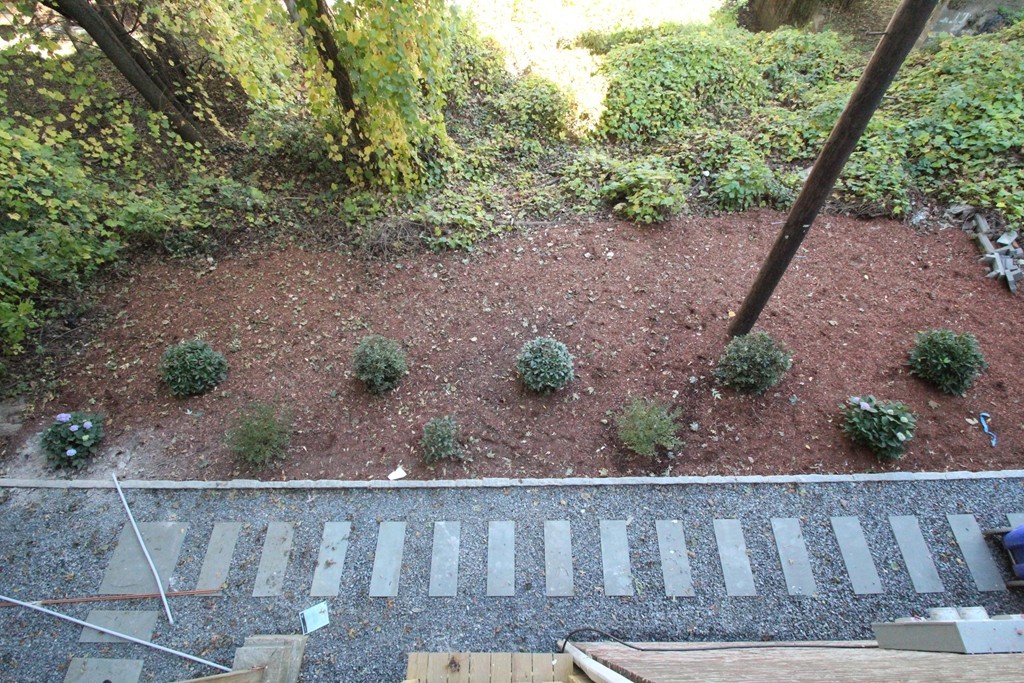 177 Winthrop Road, Unit 2 Brookline, MA 02445 - Photo 4 of 7