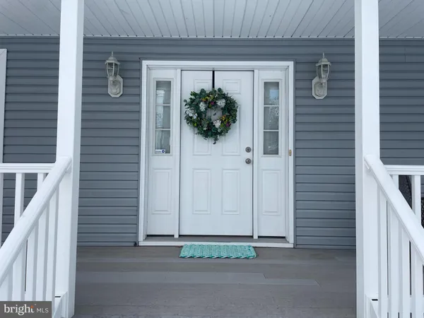 a potted plant sitting in front of a door