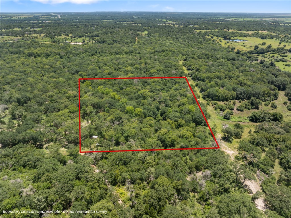 12500 Old Hearne Road Bryan, TX 77807 - Photo 1 of 15 Aerial view of property and surrounding area featuring property parcel outlined and a forest