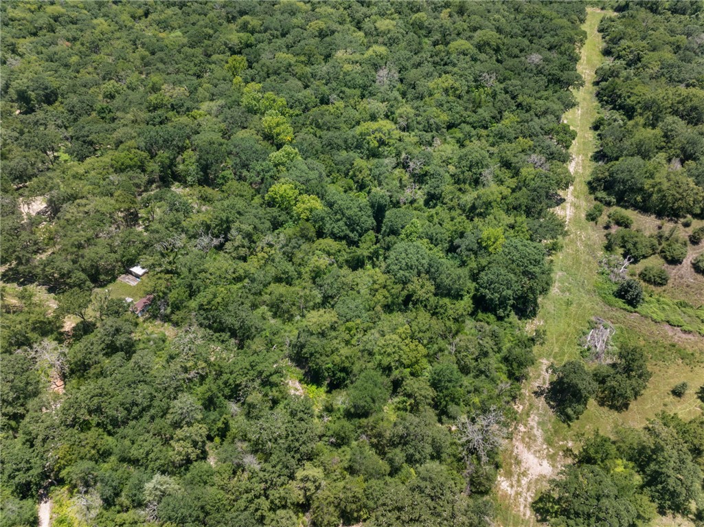 12500 Old Hearne Road Bryan, TX 77807 - Photo 11 of 15 Aerial overview of property's location featuring a heavily wooded area