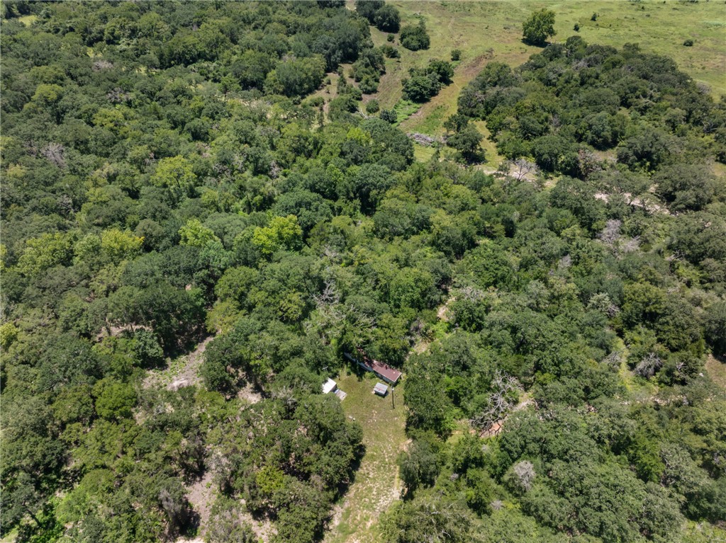 12500 Old Hearne Road Bryan, TX 77807 - Photo 12 of 15 View of property location with a forest
