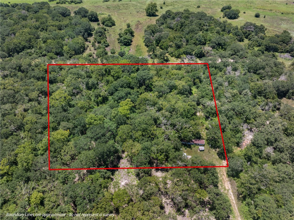 12500 Old Hearne Road Bryan, TX 77807 - Photo 15 of 15 View of property location with property boundaries highlighted and a heavily wooded area