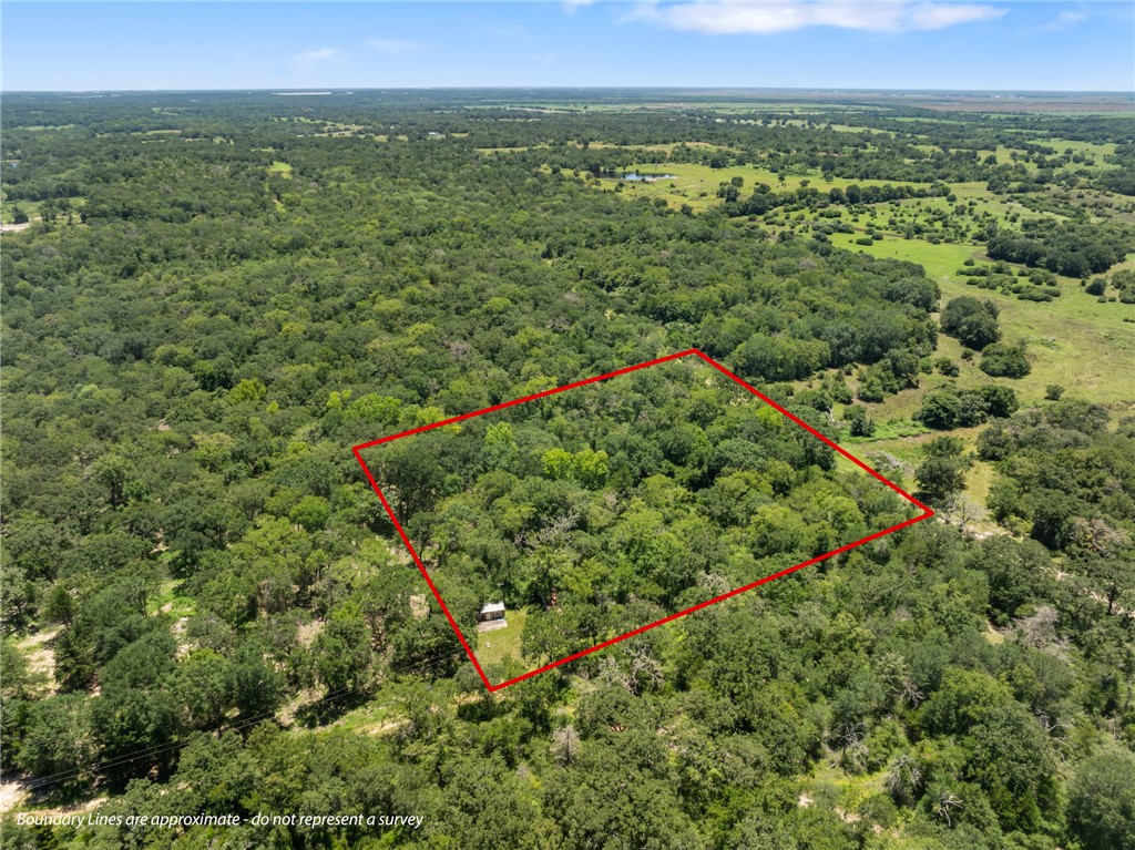 12500 Old Hearne Road Bryan, TX 77807 - Photo 2 of 15 Aerial view of property's location with property parcel outlined and a forest