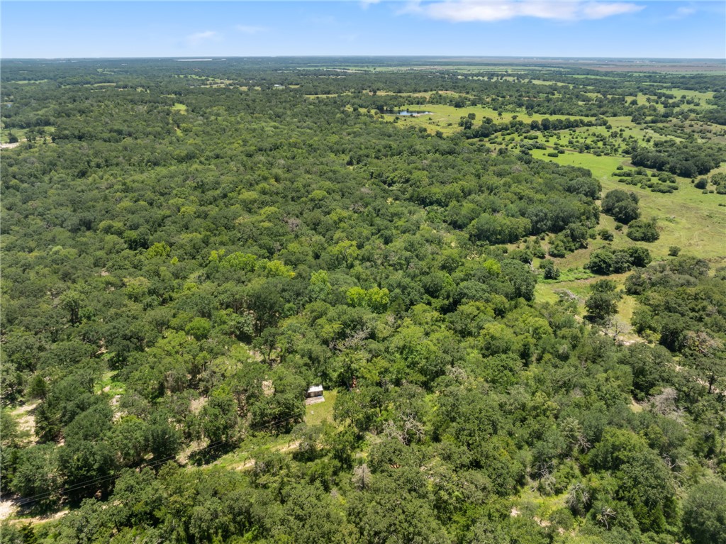 12500 Old Hearne Road Bryan, TX 77807 - Photo 3 of 15 Drone / aerial view of a heavily wooded area
