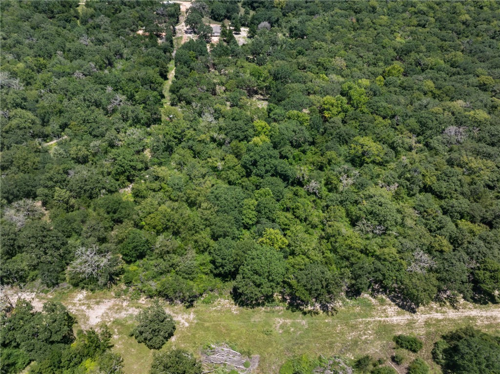 12500 Old Hearne Road Bryan, TX 77807 - Photo 5 of 15 View of property location featuring a forest