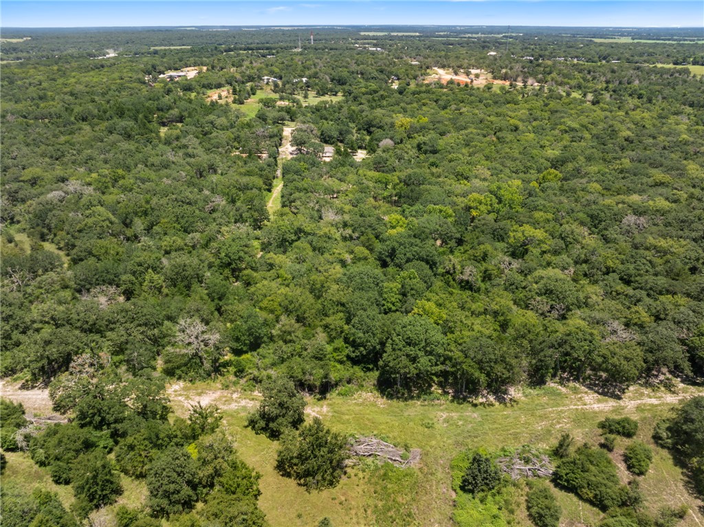 12500 Old Hearne Road Bryan, TX 77807 - Photo 7 of 15 Bird's eye view of a heavily wooded area