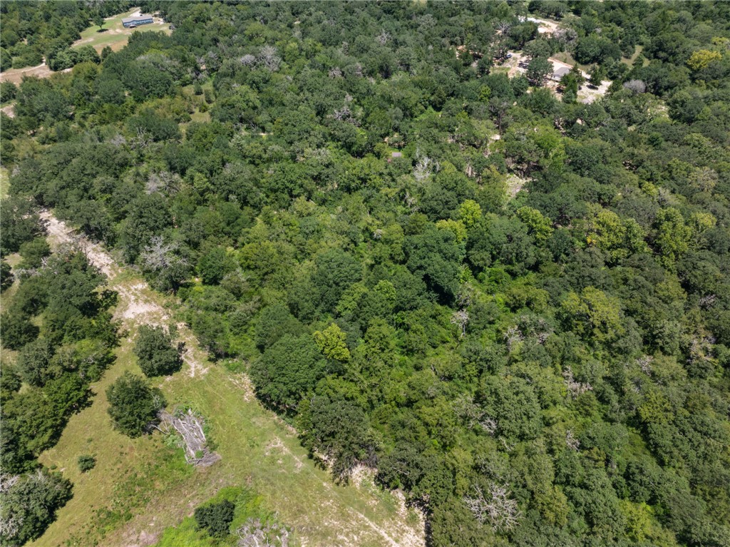 12500 Old Hearne Road Bryan, TX 77807 - Photo 9 of 15 Aerial overview of property's location with a heavily wooded area