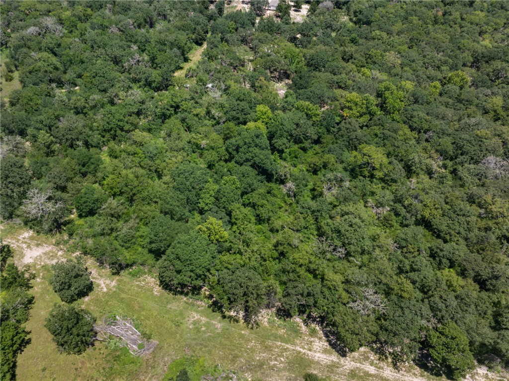 12500 Old Hearne Road Bryan, TX 77807 - Photo 10 of 15 Aerial view of property's location featuring a forest