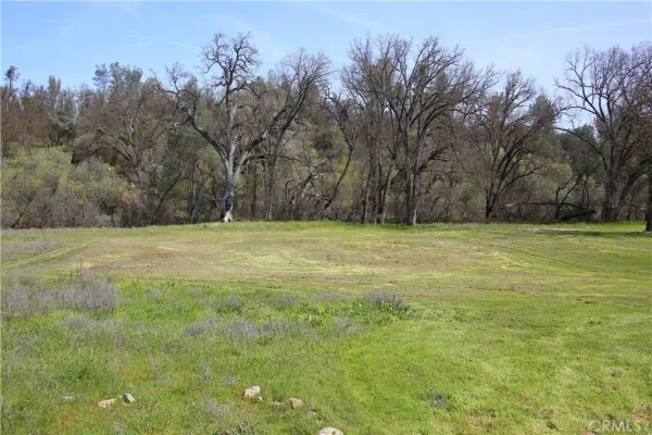 a view of a green field with trees in the background