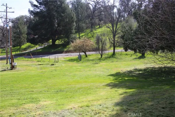 a view of swimming pool with a yard