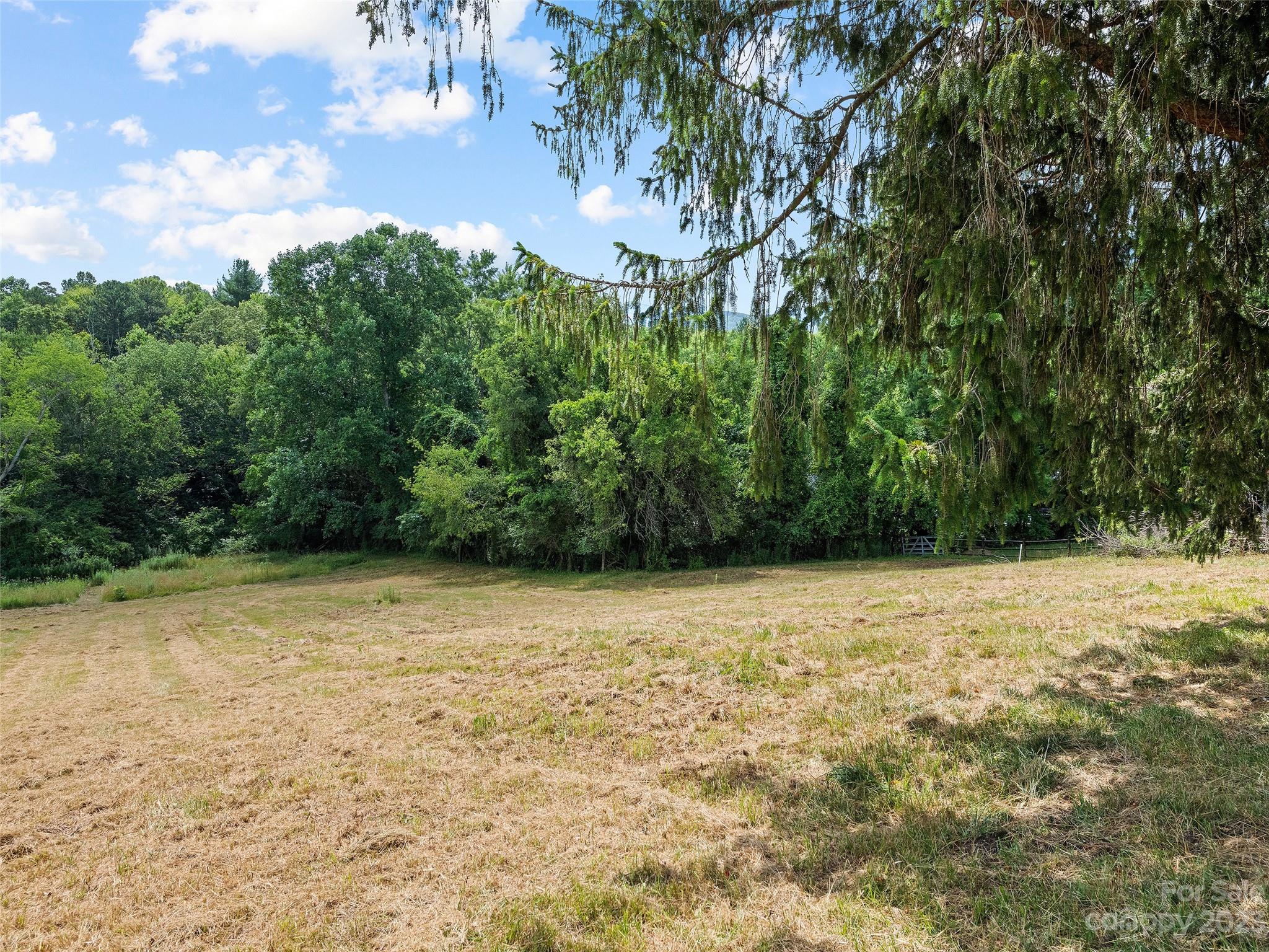 69 Patton Cemetery Road Swannanoa, NC 28778 - Photo 6 of 35 a view of a yard with a tree