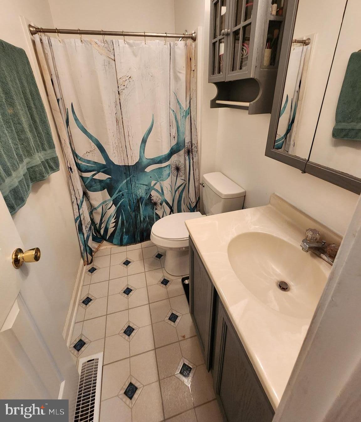 87 Summers Street Inwood, WV 25428 - Photo 14 of 41 a bathroom with a sink and mirror with bathtub