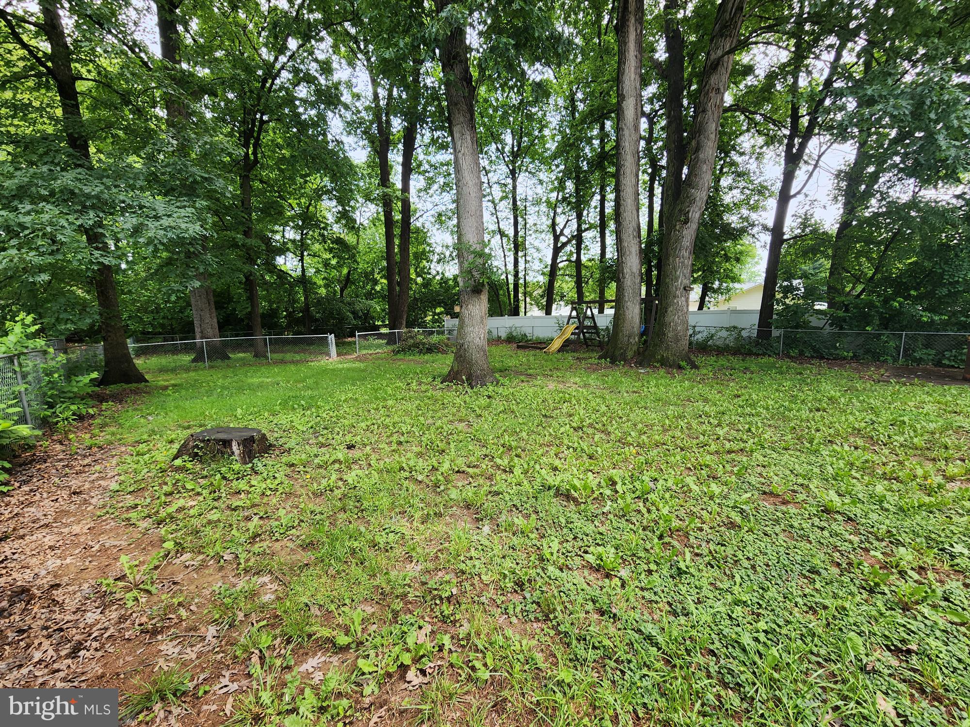 87 Summers Street Inwood, WV 25428 - Photo 36 of 41 a view of a park with large trees