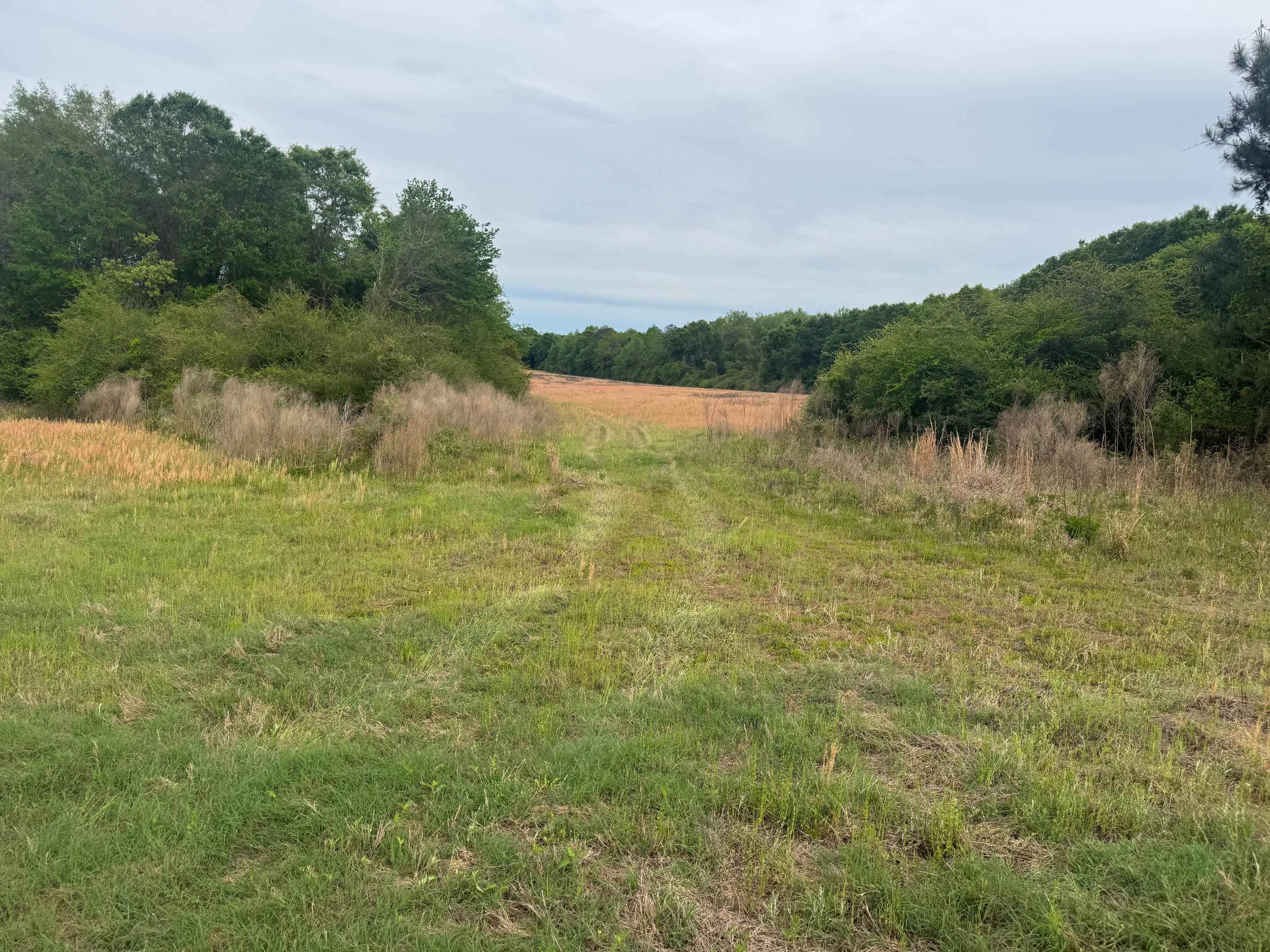 0 Co Road Andalusia, AL 36420 - Photo 30 of 34 Gallery Image 30