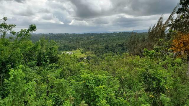 1 8 Pr-678 Vega Alta Pr