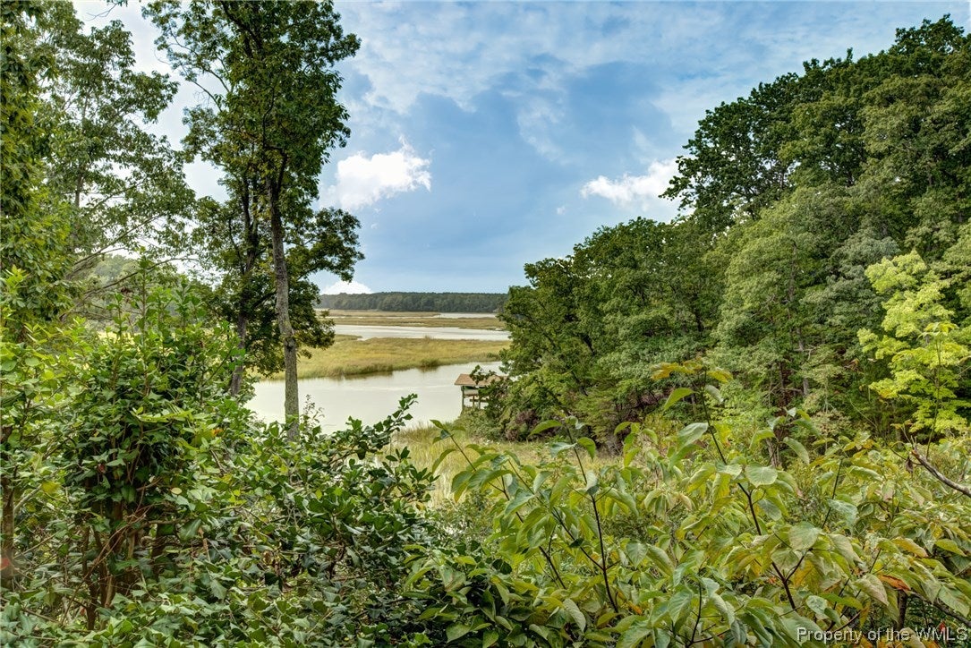 119 Pinepoint Road Williamsburg, VA 23185 - Photo 41 of 50 Gallery Image 41