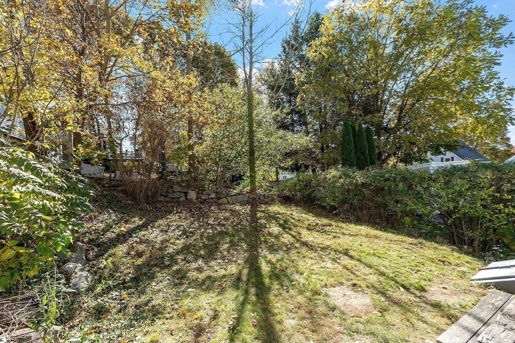 4 Moran Street Gardner, MA 01440 - Photo 6 of 30 a view of a yard with plants and large trees
