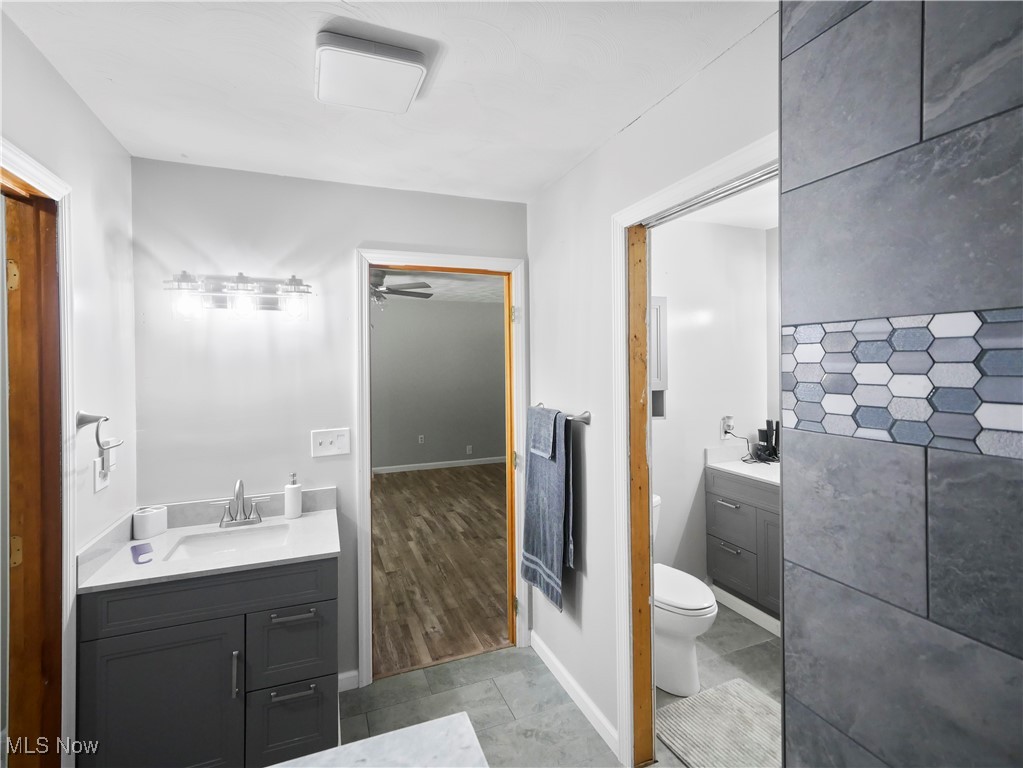 4234 Lyntz Road Warren, OH 44481 - Photo 27 of 36 Bathroom with vanity and ceiling fan