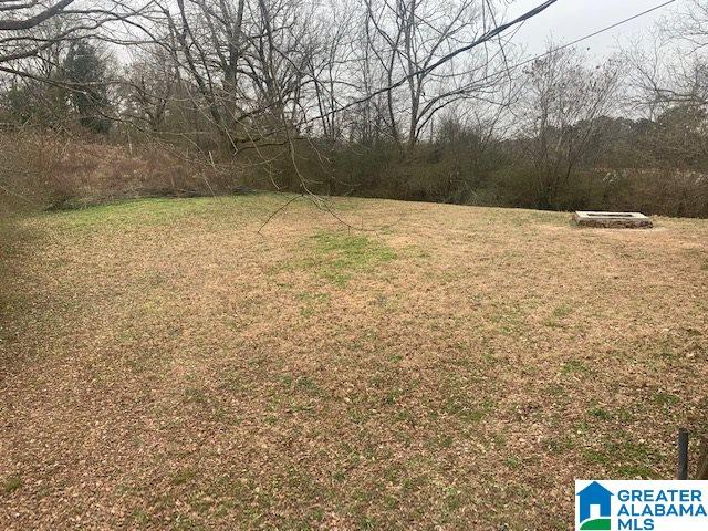 2425 1st Street Trafford, AL 35172 - Photo 20 of 20