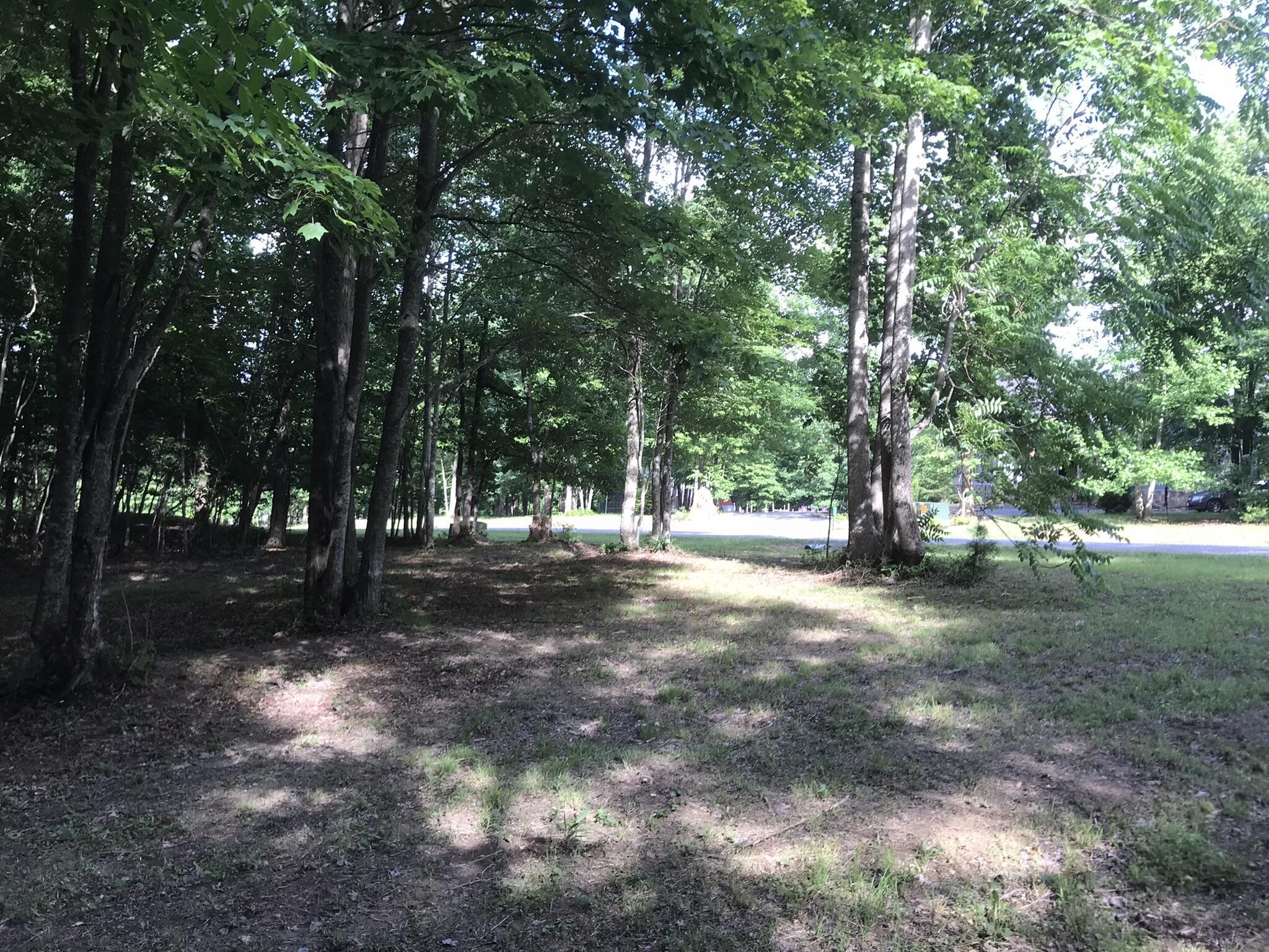 503 Wilderness Way Dunlap, TN 37327 - Photo 7 of 22
