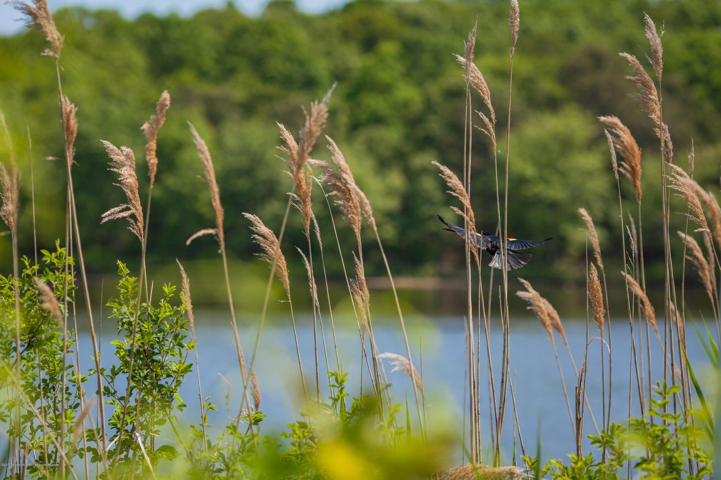 806 Ocean Road Spring Lake Heights, NJ 07762 - Photo 29 of 33 Wreck Pond