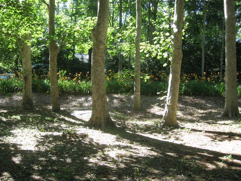 17 F R Lillie Road Woods Hole, MA 02543 - Photo 2 of 12 Additional Photo