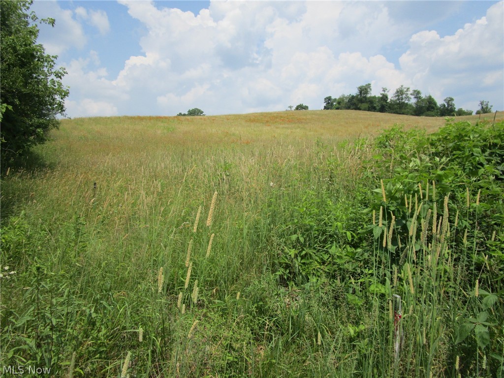 10075 Edwards Ridge Road Southeast Uhrichsville, OH 44683 - Photo 4 of 9 Gallery Image 4