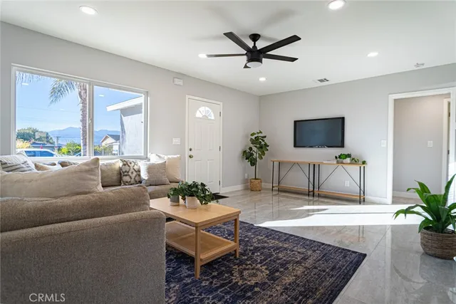 a living room with furniture and a potted plant