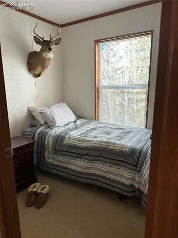 $336,900 | 509 John Drive, Divide, CO 80814