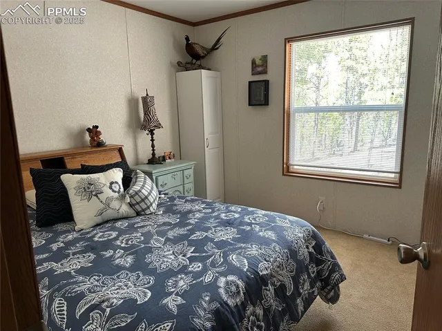 $336,900 | 509 John Drive, Divide, CO 80814