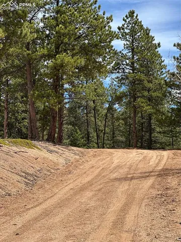 $336,900 | 509 John Drive, Divide, CO 80814