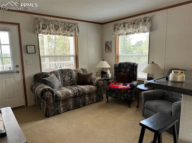 $336,900 | 509 John Drive, Divide, CO 80814