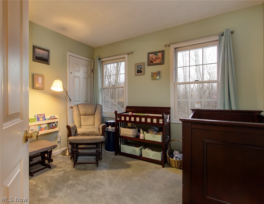 9305 Mentor Road Chardon, OH 44024 - Photo 27 of 35