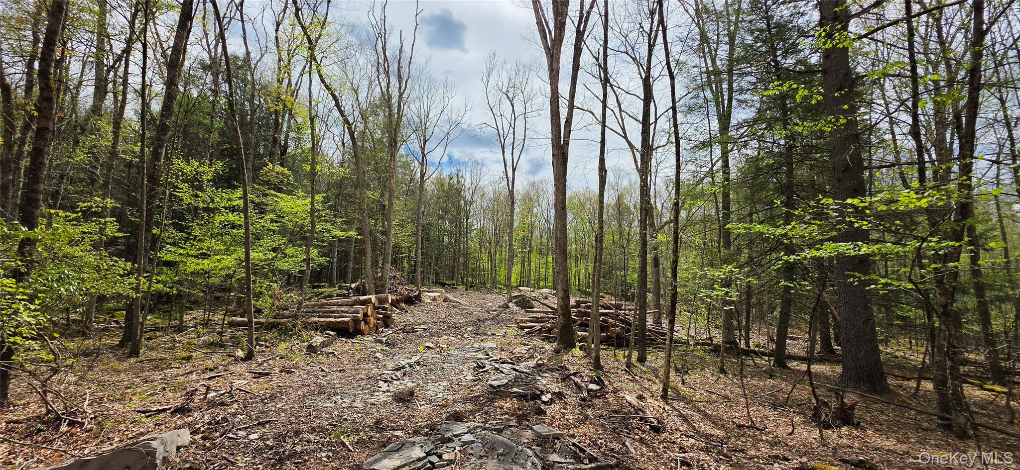 Lot 82 Perry Pond Road Narrowsburg, NY 12764 - Photo 3 of 14