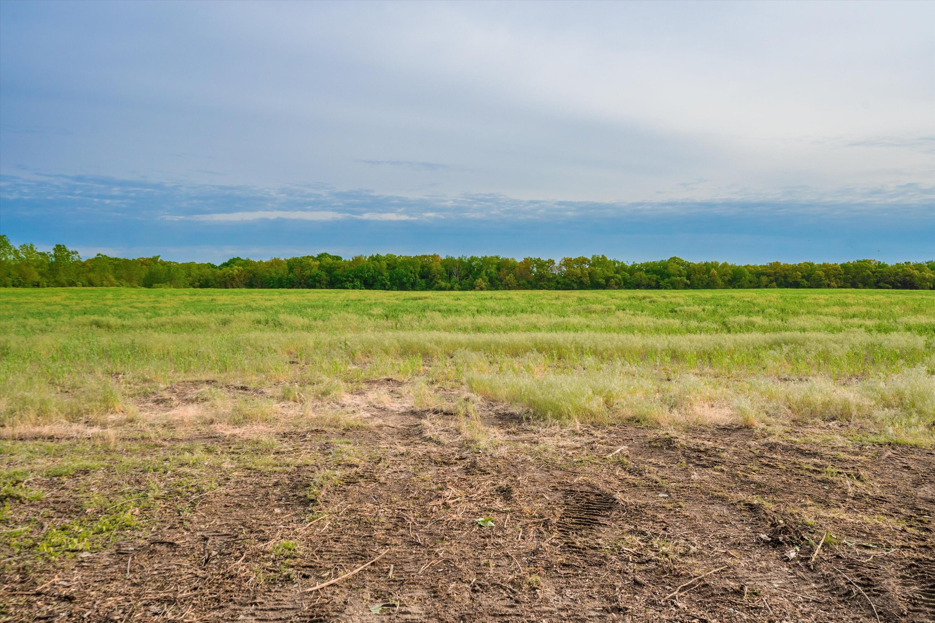 0 Jewell Road Milan, MI 48160 - Photo 62 of 63 62-DSC02370