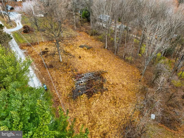 a view of a yard with plants and trees