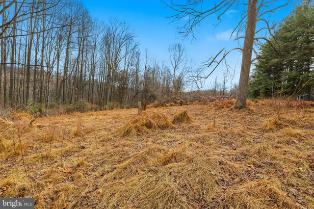 a view of yard covered with snow