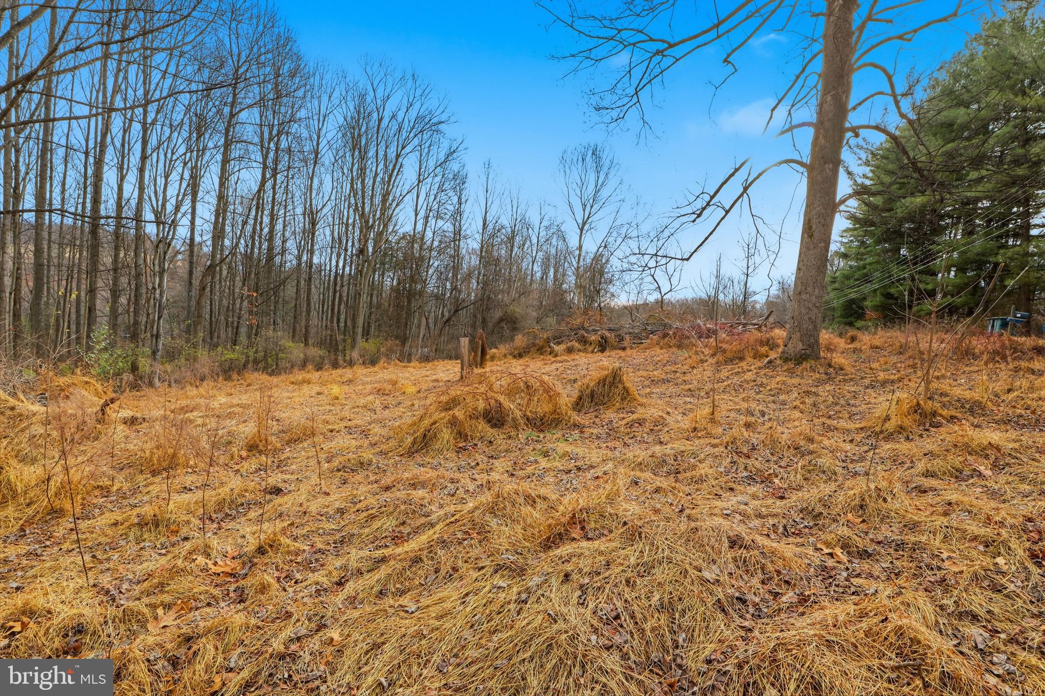 219 A Highfield Road Airville, PA 17302 - Photo 2 of 30 a view of yard covered with snow
