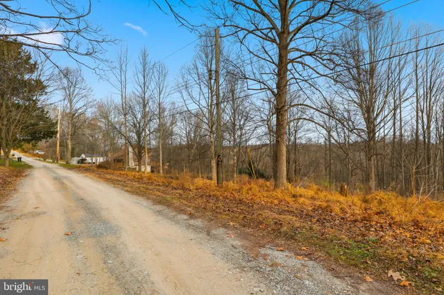 a backyard of a house with large trees