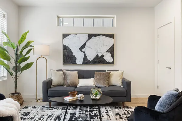 a living room with furniture and a potted plant