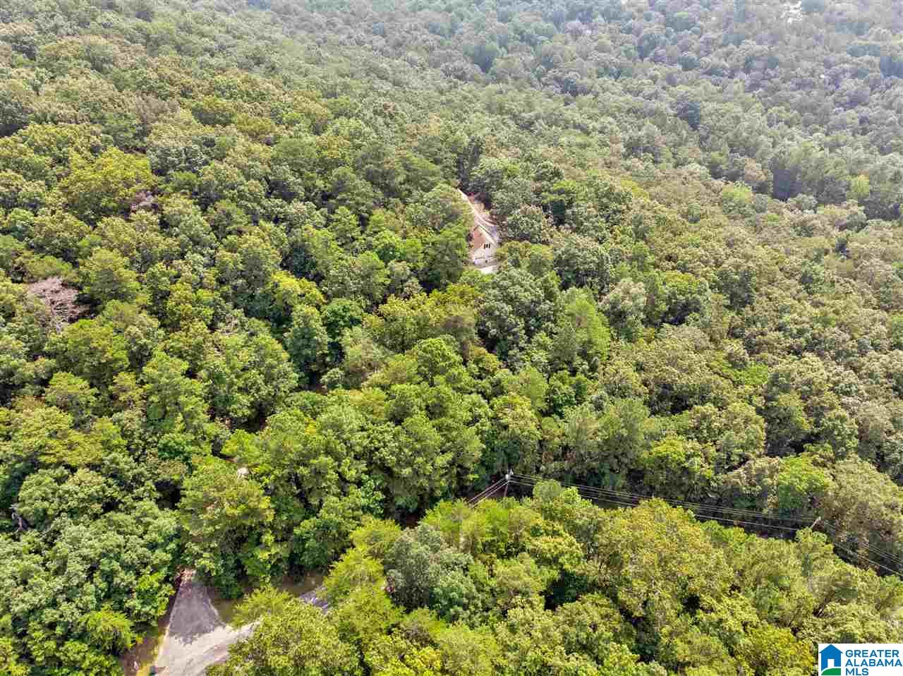 220 Timber Trail Warrior, AL 35180 - Photo 40 of 41