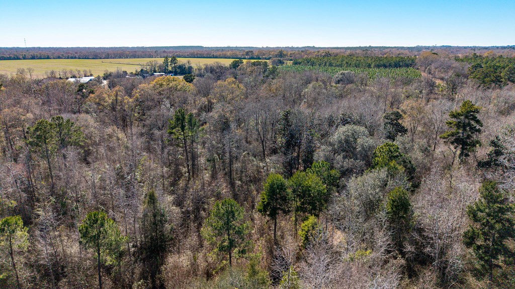 0 Bruner Pond Road Ashford, AL 36312 - Photo 19 of 30