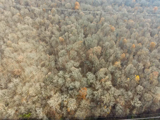 $115,000 | 0 Highway 27, Whitwell, TN 37397