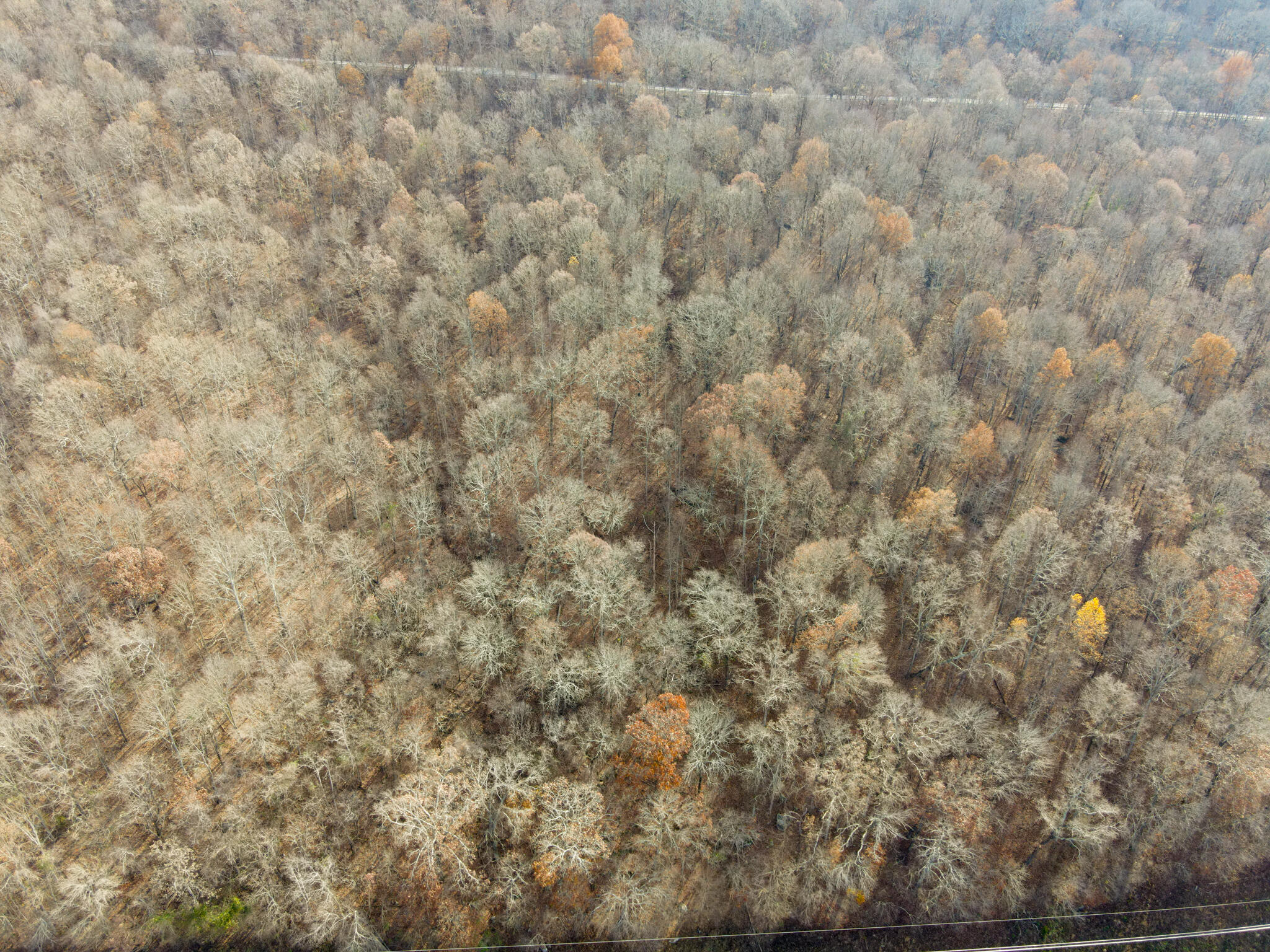 0 Highway 27 Whitwell, TN 37397 - Photo 3 of 19 SuckCreek-4