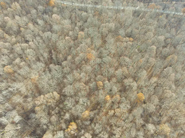 $115,000 | 0 Highway 27, Whitwell, TN 37397